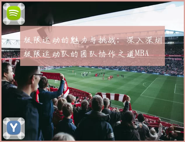 极限运动的魅力与挑战：深入深圳极限运动队的团队协作之道MBA