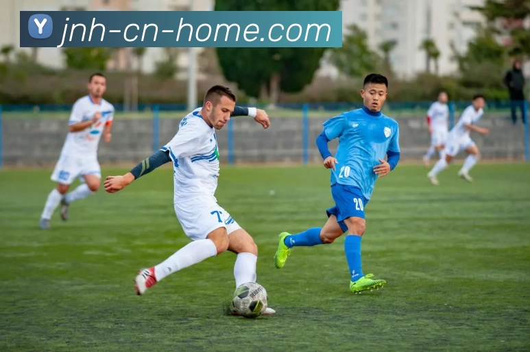 今年会官网发展历程